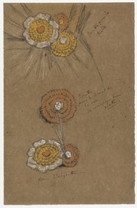 Studier af rosetter, 1871-74 (sort og hvid kridt på brunt papir) af James Abbott McNeill Whistler